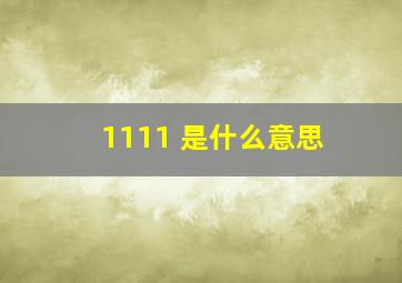 1111 是什么意思